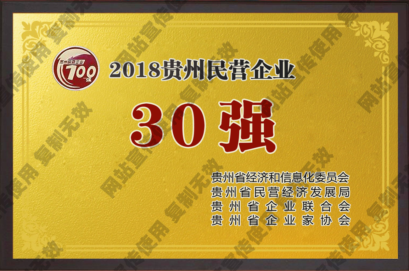 2018贵州民营企业30强